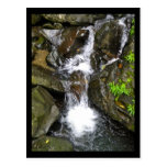 Cascada en la selva tropical del nacional del EL Y Tarjetas Postales