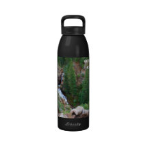 Cascada en los rastros góticos botellas de beber