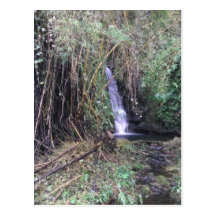 Cascada en rastro de las caídas de Akaka Postal