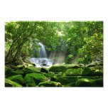 Cascada en selva tropical fotografia