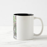 Cascada japonesa del jardín taza de café