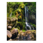 Cascada menuda tarjeta postal