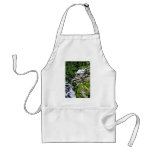 Cascada - parque nacional del Monte Rainier Delantales