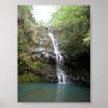 Cascada Poster