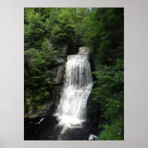 Cascada Impresiones