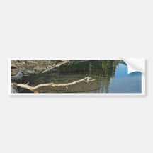 Cascadas del lago elk, Oregon Etiqueta De Parachoque