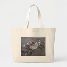 Cáscara de la almeja bolsa