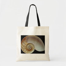 Cáscara magnífica del nautilus bolsa