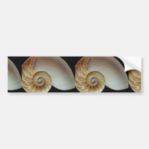 Cáscara magnífica del nautilus etiqueta de parachoque