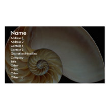 Cáscara magnífica del nautilus tarjetas de visita