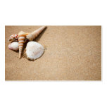 Cáscaras del mar en la playa tarjetas de visita