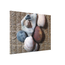Cáscaras en seagrass impresiones en lona