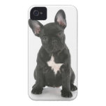 Case iPHONE 4/4S "PET" iPhone 4 Case-Mate Coberturas