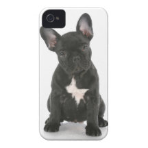 Case iPHONE 4/4S "PET" iPhone 4 Case-Mate Coberturas