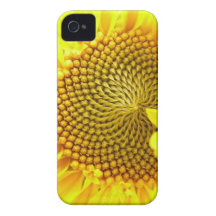 Caso ascendente cercano del iPhone 4 del girasol Case-Mate iPhone 4 Protectores