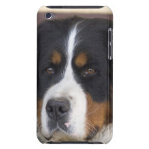 Caso de Berner Sennenhund iTouch iPod Touch Case-Mate Cárcasas