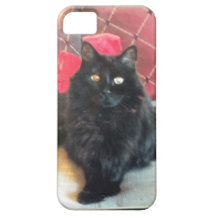caso de encargo 5 del iphone iPhone 5 funda