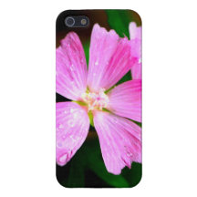 Caso de Iphone iPhone 5 Protectores
