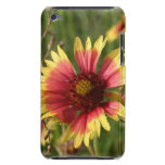 Caso de iTouch de la flor del Gaillardia Barely There iPod Coberturas