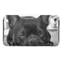 Caso de iTouch del dogo francés iPod Touch Protector