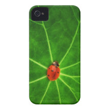 Caso de señora Bug Iphone 4S Case-Mate iPhone 4 Cárcasa
