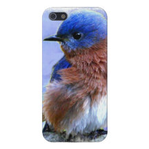 CASO DEL BLUEBIRD IPHONE 5 iPhone 5 FUNDA