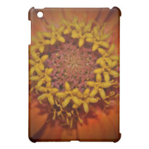 Caso del diseño floral de IPOD