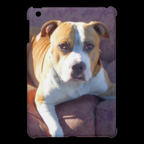 Caso del ipad del perro del pitbull mini fundas ipad mini