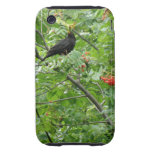 Caso del iPhone 3 del mirlo y de las bayas iPhone 3 Tough Fundas