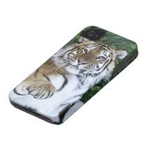 Caso del iPhone 4 del tigre siberiano cárcasas casemate