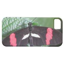 Caso del iPhone 5 de la mariposa del cartero iPhone 5 Case-Mate Cárcasas