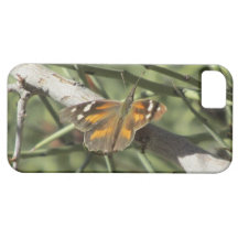 Caso del iPhone 5 de la mariposa del hocico iPhone 5 Case-Mate Cárcasas