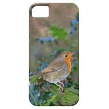 Caso del iPhone 5 de Redbreast del petirrojo iPhone 5 Case-Mate Protectores