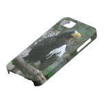 Caso del iPhone 5 de Stellers Eagle iPhone 5 Case-Mate Coberturas