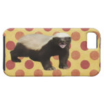 Caso del iPhone 5 del tejón de miel iPhone 5 Case-Mate Cárcasa