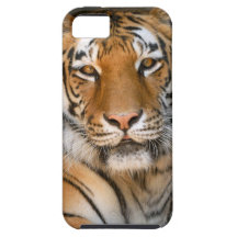 Caso del iPhone 5 del tigre de Bengala iPhone 5 Case-Mate Cobertura