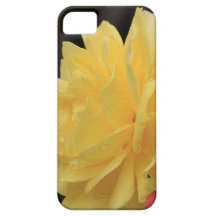 ¡caso del iPhone con el rosa amarillo hermoso! iPhone 5 Coberturas
