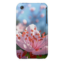 Caso del iPhone de la flor de cerezo iPhone 3 Case-Mate Cárcasas