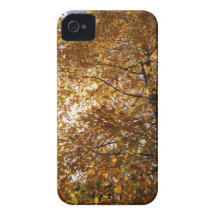 Caso del iphone de las hojas de otoño iPhone 4 Case-Mate carcasa
