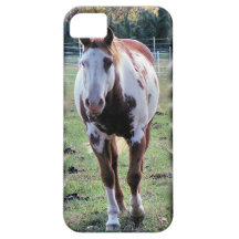 Caso del iPhone del caballo del Appaloosa + 9 más  iPhone 5 Cobertura