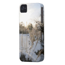 Caso del iPhone del jardín de la nieve iPhone 4 Case-Mate Protector