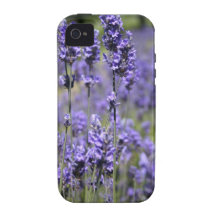 caso del iphone del lavneder iPhone 4/4S carcasas