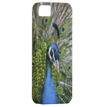 Caso del pavo real iPhone 5 cárcasa