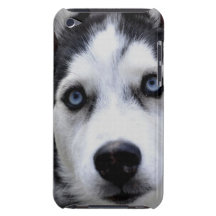 caso del tacto de iPod - modificado para requisito iPod Touch Case-Mate Protector