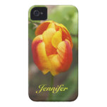 Caso floral del iPhone 4 con el tulipán colorido y iPhone 4 Protectores