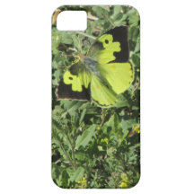 Caso meridional del iPhone 5 de la mariposa de Dog iPhone 5 Funda