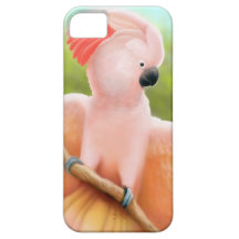Caso moluqueño rosado del iPhone del loro de Cocka iPhone 5 Protectores