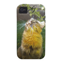 Caso precioso del iPhone 4 del monograma del gatit iPhone 4 Carcasa