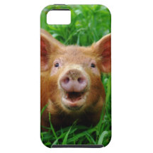 Caso sonriente del iphone del cochinillo iPhone 5 Case-Mate cárcasa