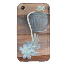 Caso suculento rústico del iPhone iPhone 3 Funda